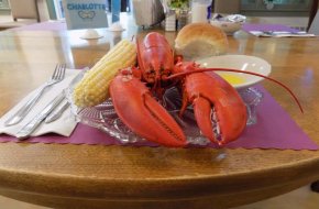 Residents enjoy a yearly Lobster Feed 